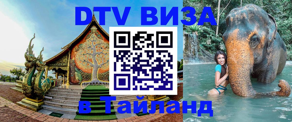 Оформление DTV визы под ключ: стоимость и тарифы, только загранпаспорт - 